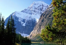 31省区市新增12例本土确诊, 永年县疫情最新消息